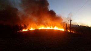 ndscape photo of burning forest