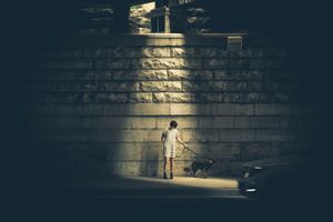 Person holding dog collar beside wall