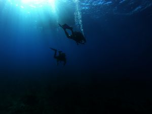 Two people scuba diving