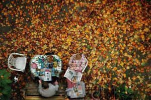 Aerial photograph of two people sitting on chairs with autumnal leaves on the floor around them